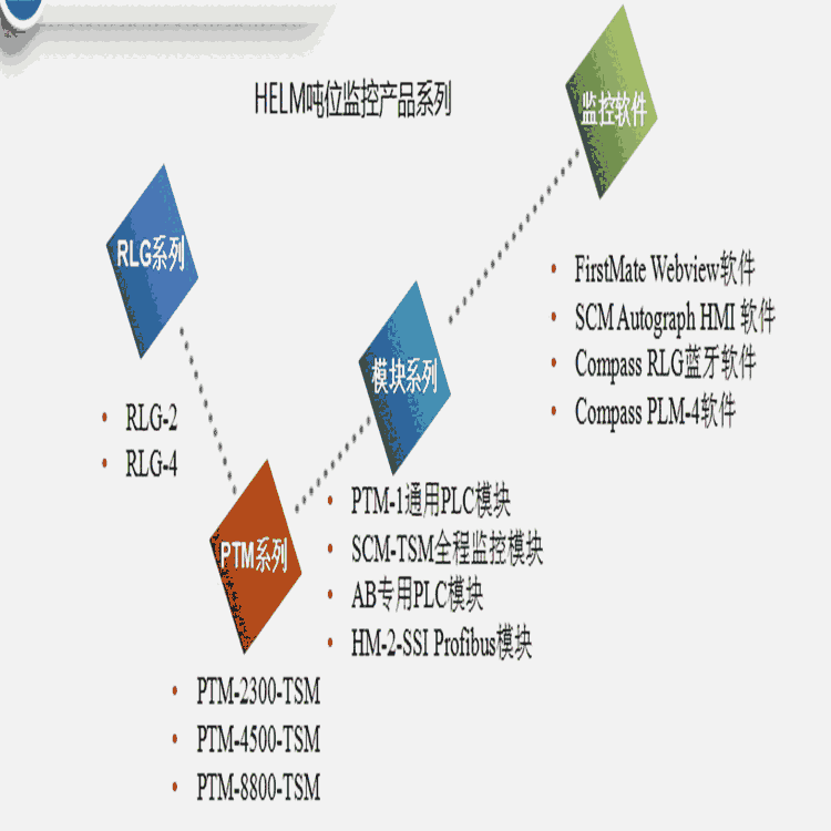雨花臺HELM噸位儀模塊PTM系列噸位監視系統HELM